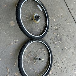 24” Bike Tire