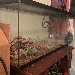 Terrarium/aquarium