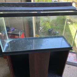 Fish Tank With Stand 