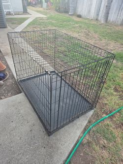 Wire Dog Crate