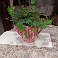 Cute Pink Wicker Pitcher.   Artificial Plant