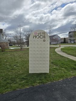 6' X 3' Mochi Donut Wall