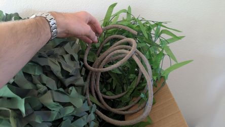 Jungle themed decorations