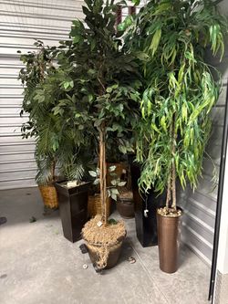 Trees