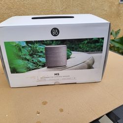 B&O Speaker