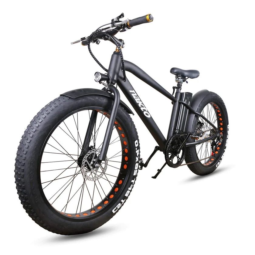 Electric Bike Big Tire
