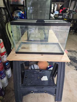 10 gal tank