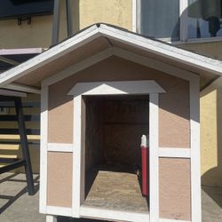 Dog House 