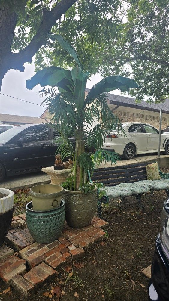 Fake Tree And If You Want A Big Green Mexican Planter $30 The Tree And $ 69 The Ceramic Pot.