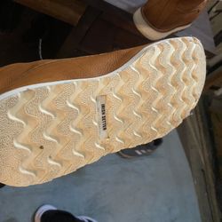 Red Wings 