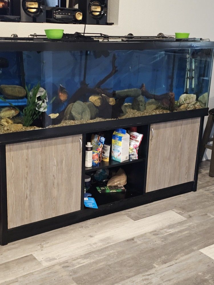 125 Fish Tank