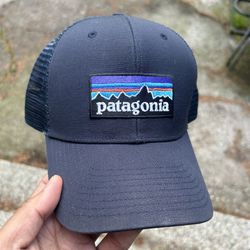 PATAGONIA P-6 TRUCKER HAT