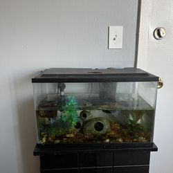 Aquarium supplies 