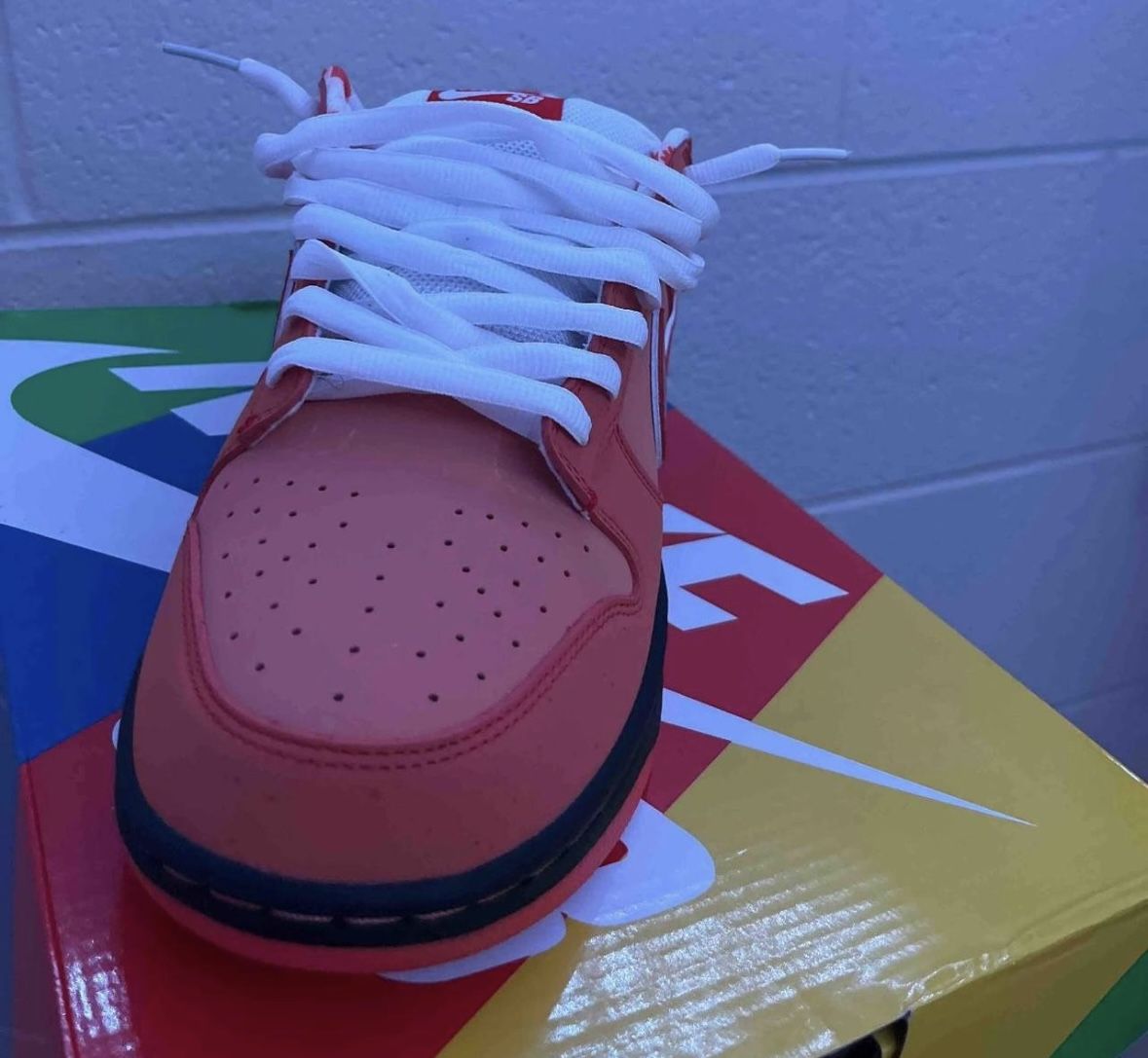 Nike Dunk Lobsters 