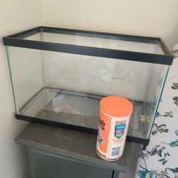 Fish Tank Aquarium