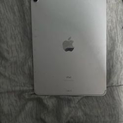 iPad 