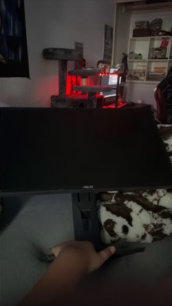 monitor