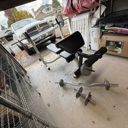 Weight Bench And Weights 