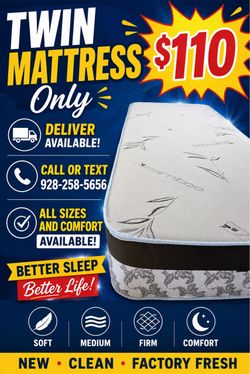 Twin mattress $110. Bed only