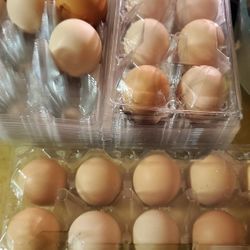 at 8 a dozen or 3 Dozens × 20