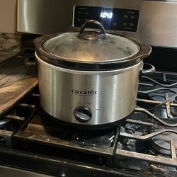 Crock Pot