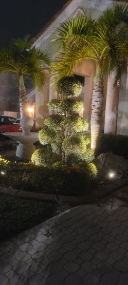 Landscape Lighting Installation
