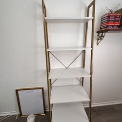 5 Tier Ladder Shelve 