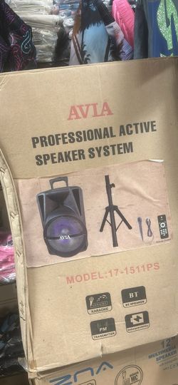 Avia Professional Active Speaker System