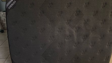 Mattresses (6 months old)