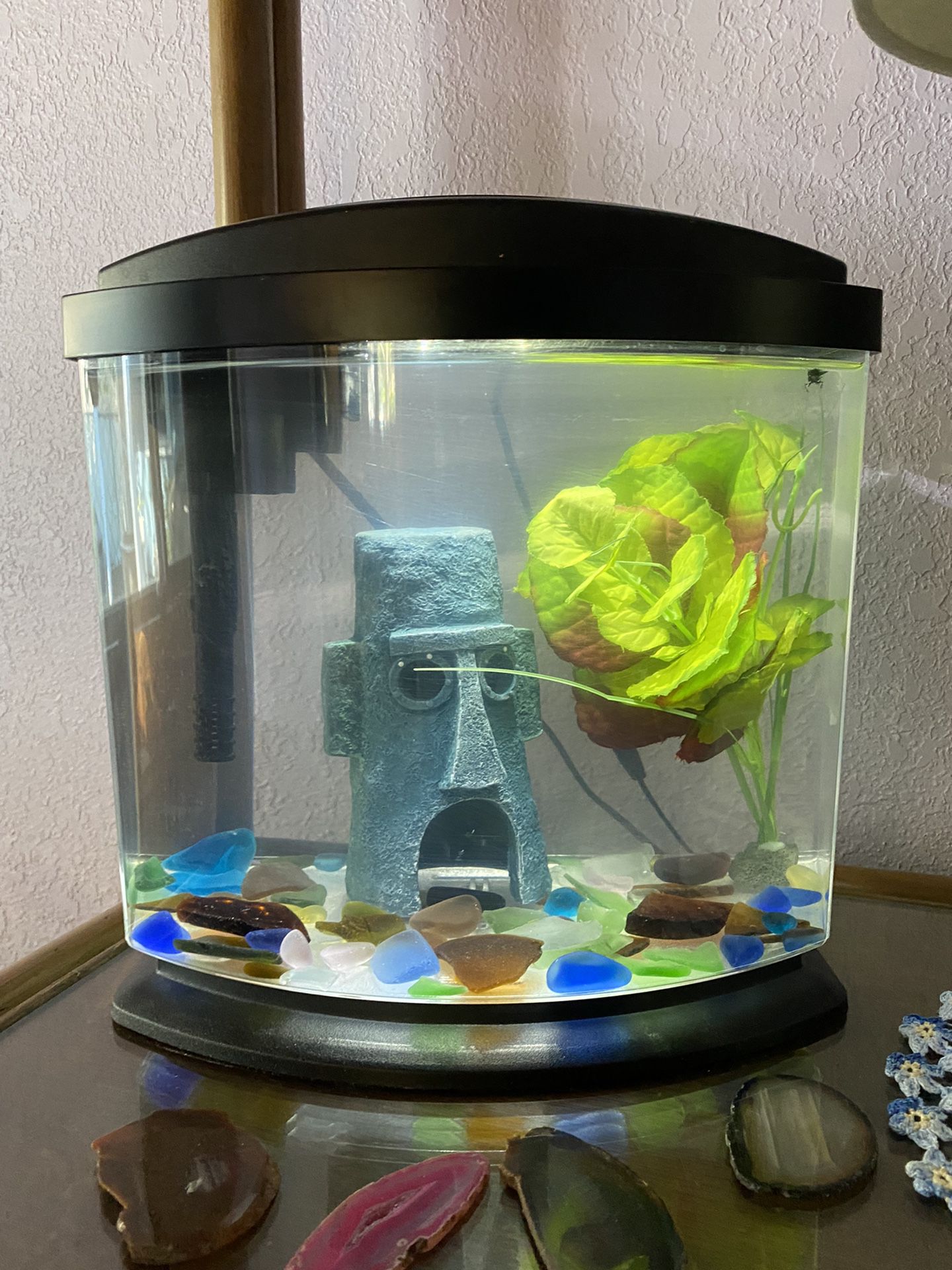Fish Tank 2 Gallon 