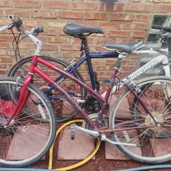 Specialized BIKE