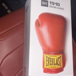12 Oz Ever last Boxing Gloves 