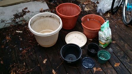Planters/5 clay & 8 plastic