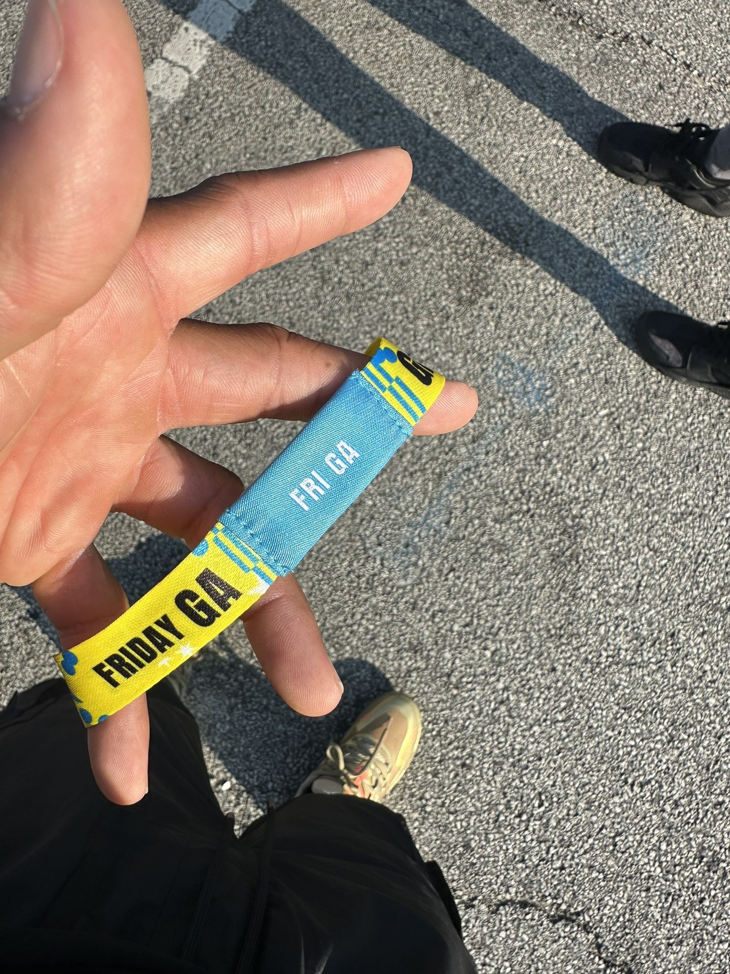 Lollapalooza Friday Wristbands For Sale 