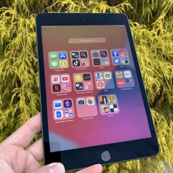 iPad Mini 5 WiFi 64GB