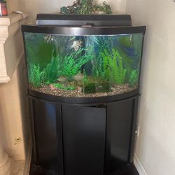 45 Gal Fish Tank With Fish