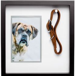 Pearhead Pet Collar and Photo Keepsake Frame Set, Large