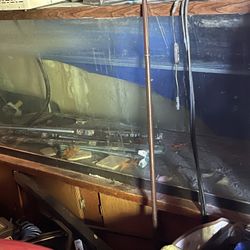 Fish Tank