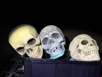 3 Large Foam Skulls