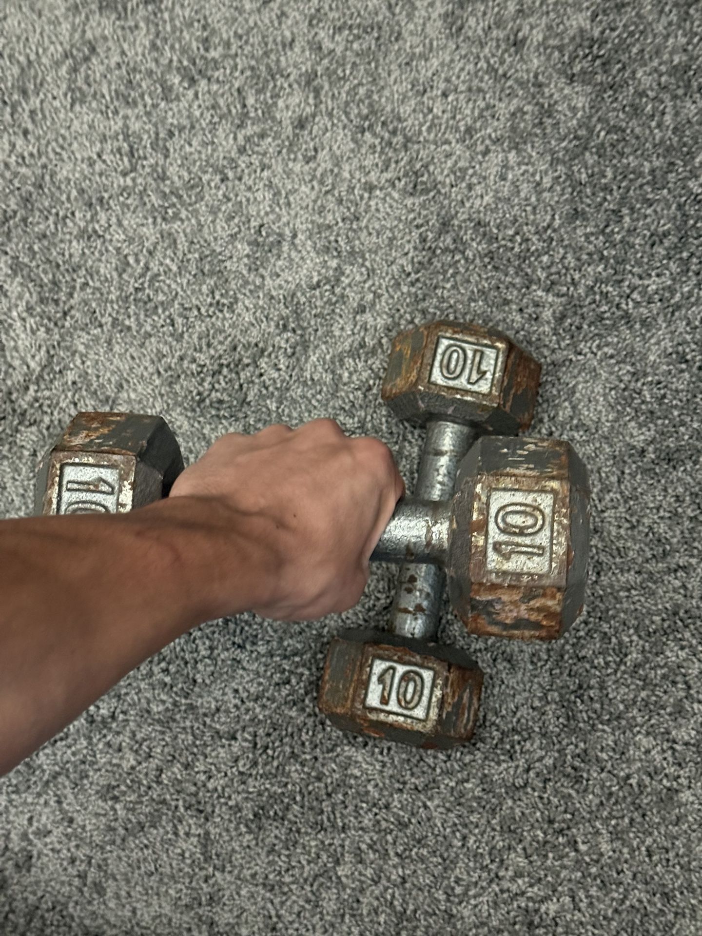 10lbs Dumbbells