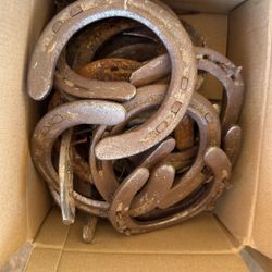 Unlimited Used Horse Shoes  