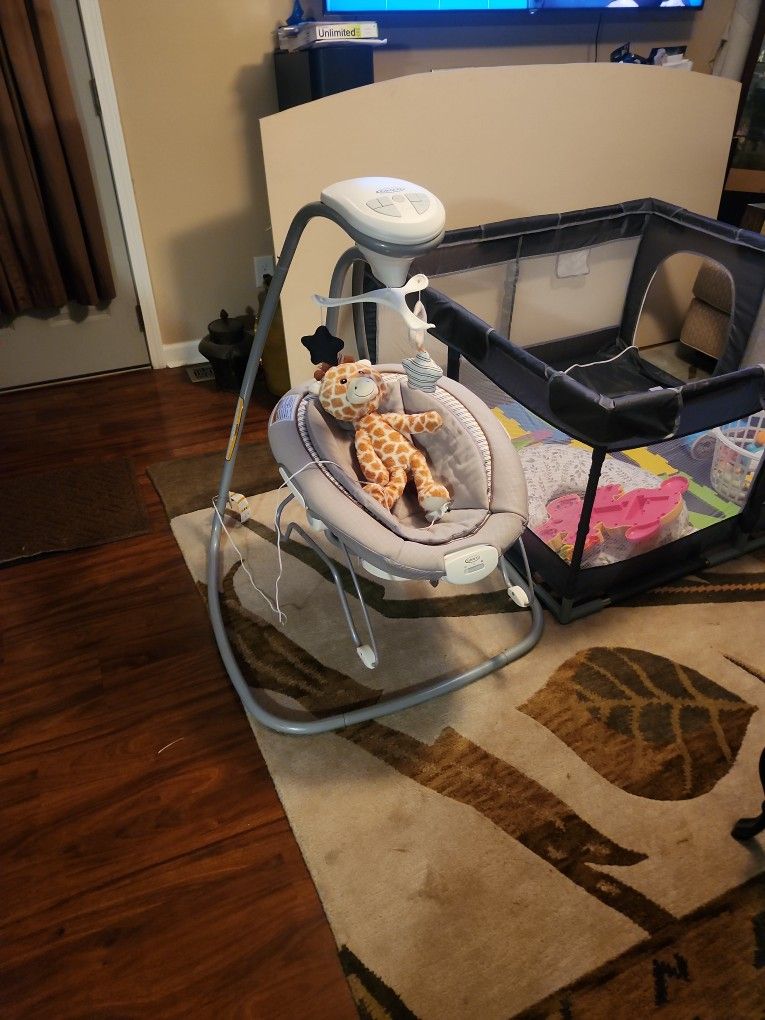 Baby Swinger