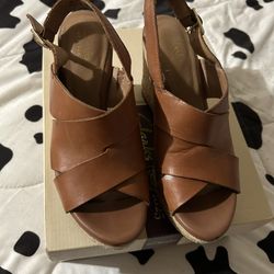 Clark Wedge