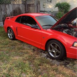 02 Mustang Fastback V8 Stickshift 120k Miles 