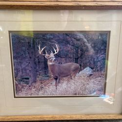Framed Buck Photo