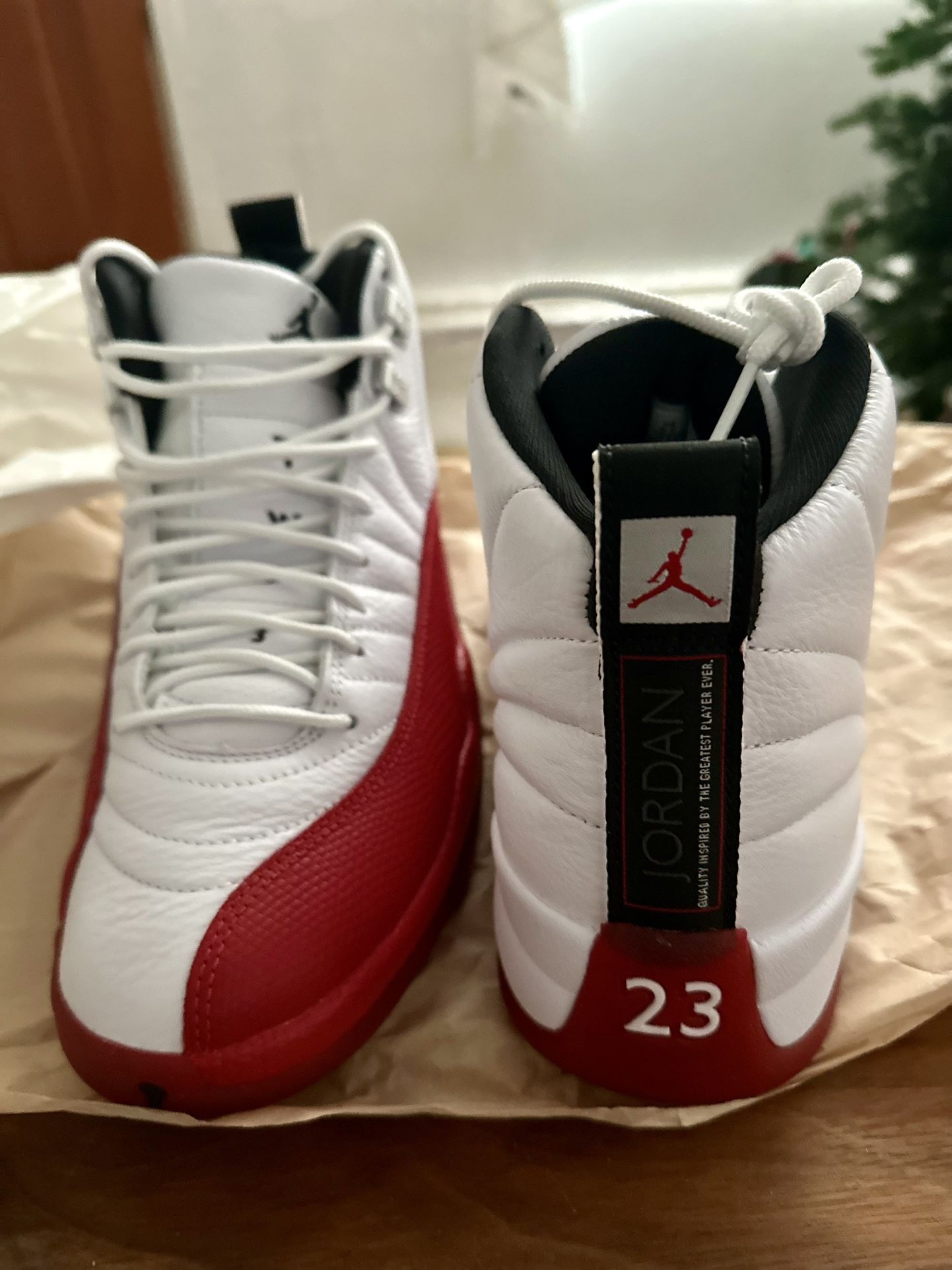 Brand New Jordan Retro 12 - Men’s Size 9.5