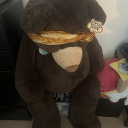 Giant Teddy Bear