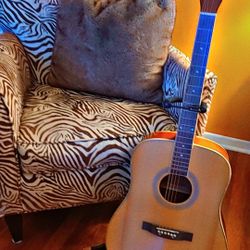 Beautiful Guitar 🎸 