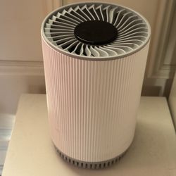 Air Purifiers (set of 2)