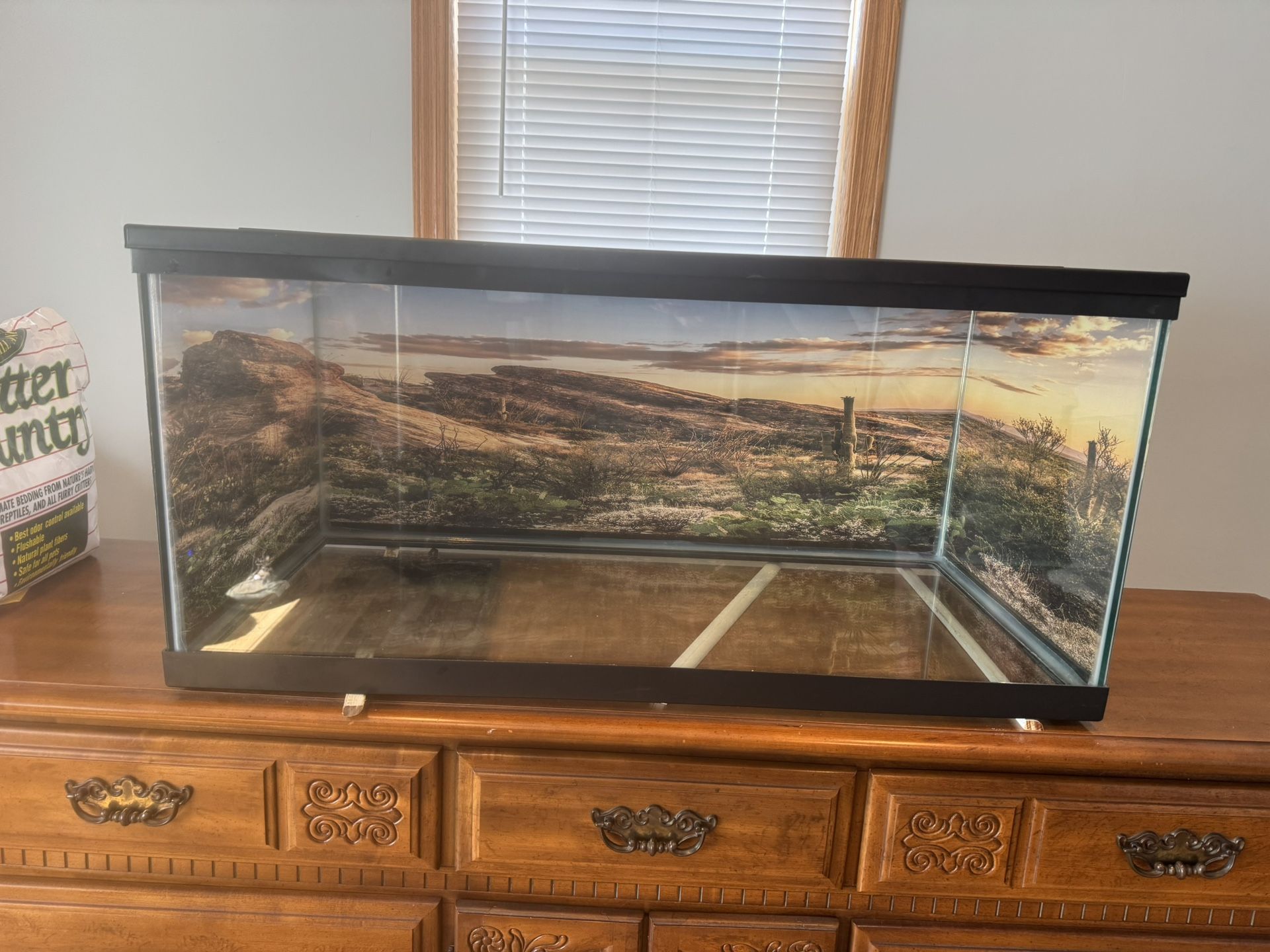 Ultimate Amphibian Lizard Setup Used But Clean
